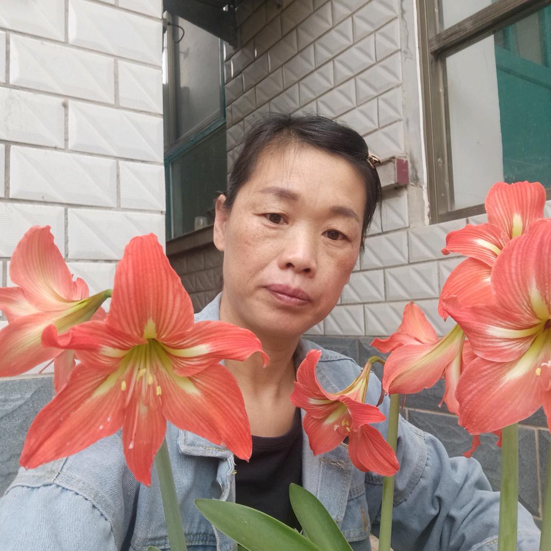 双姐，