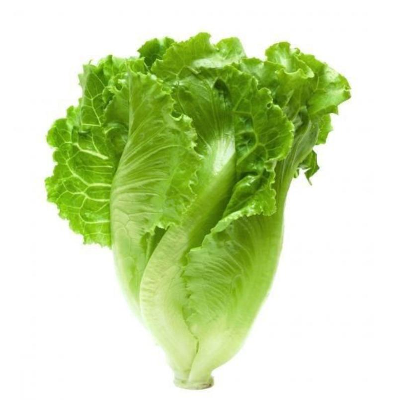 超级菜单设计