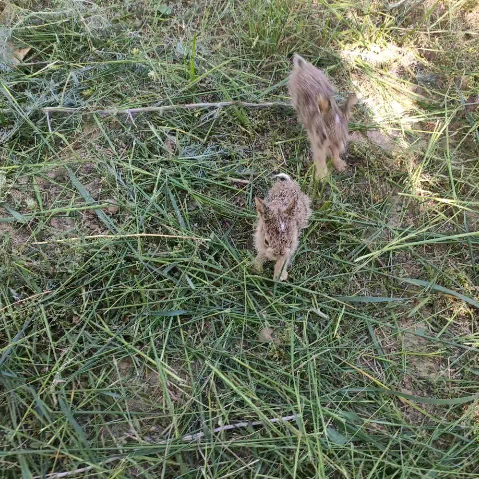 有缘同乐