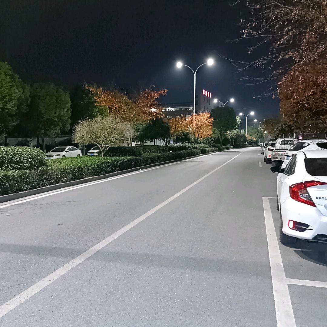 雪随风动舞繁华