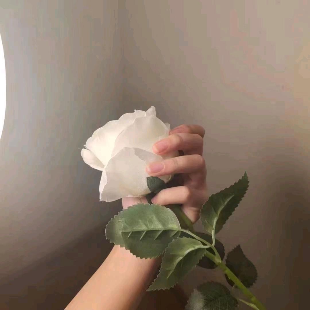 鹿芒