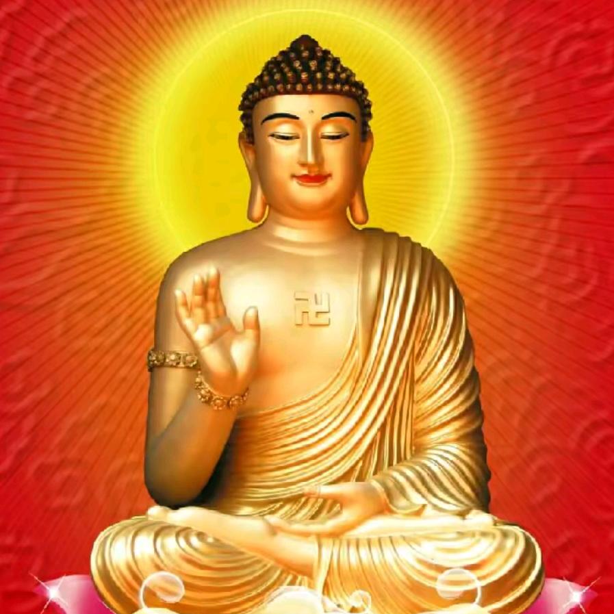 普光
