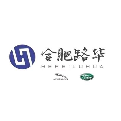 合肥路虎专修-阳仔