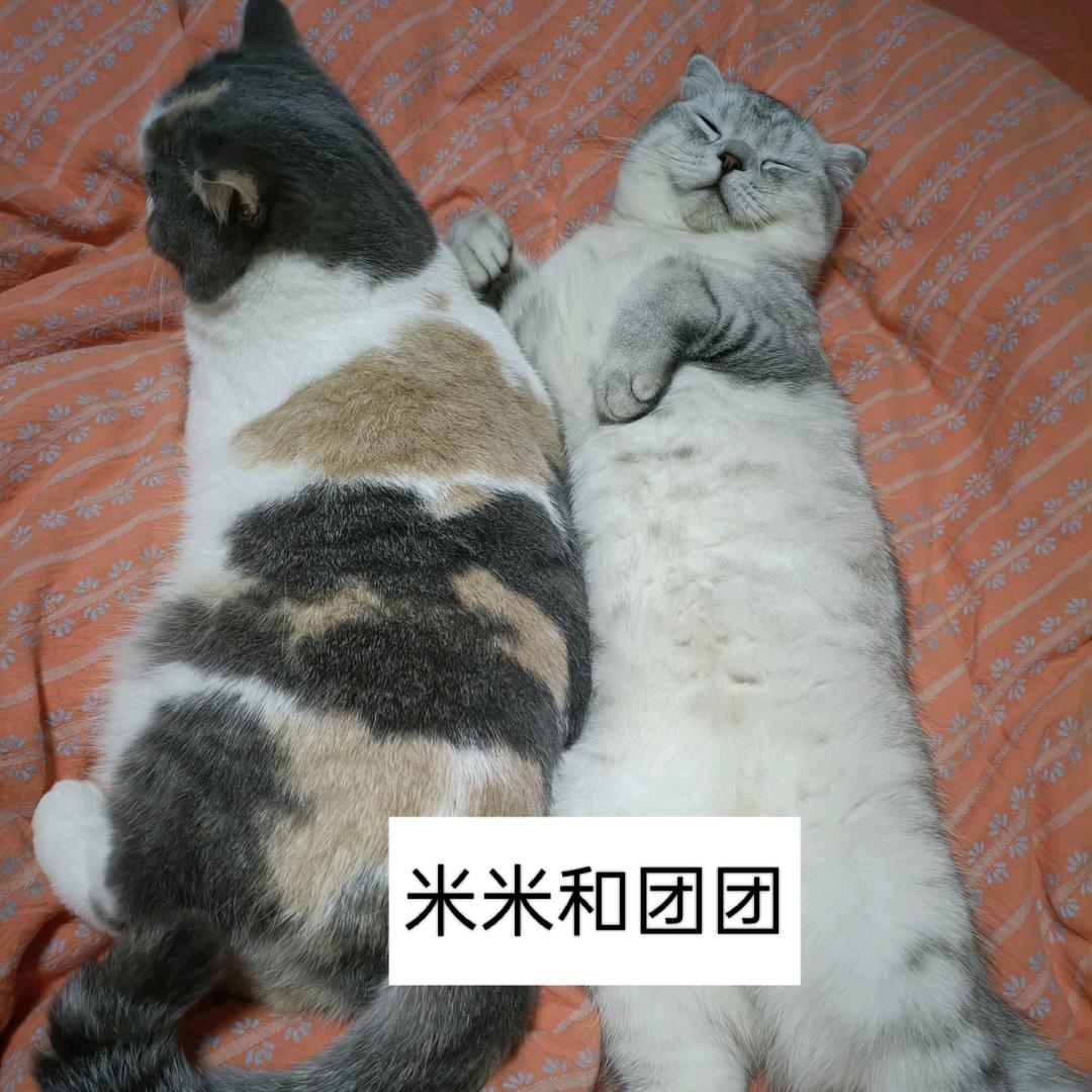 西北望长安