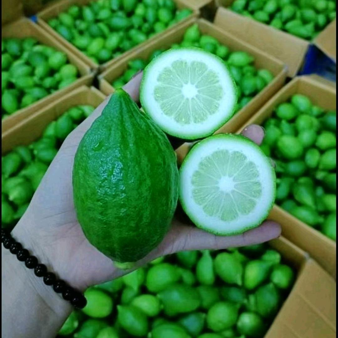 黎杰伟鲜果优享小铺