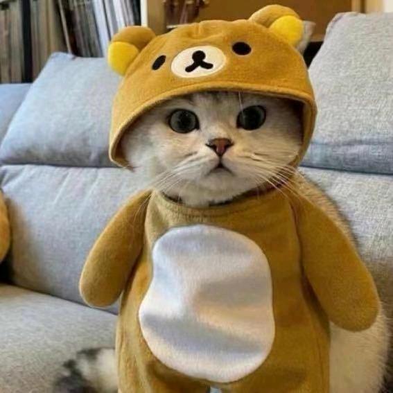 小白灬