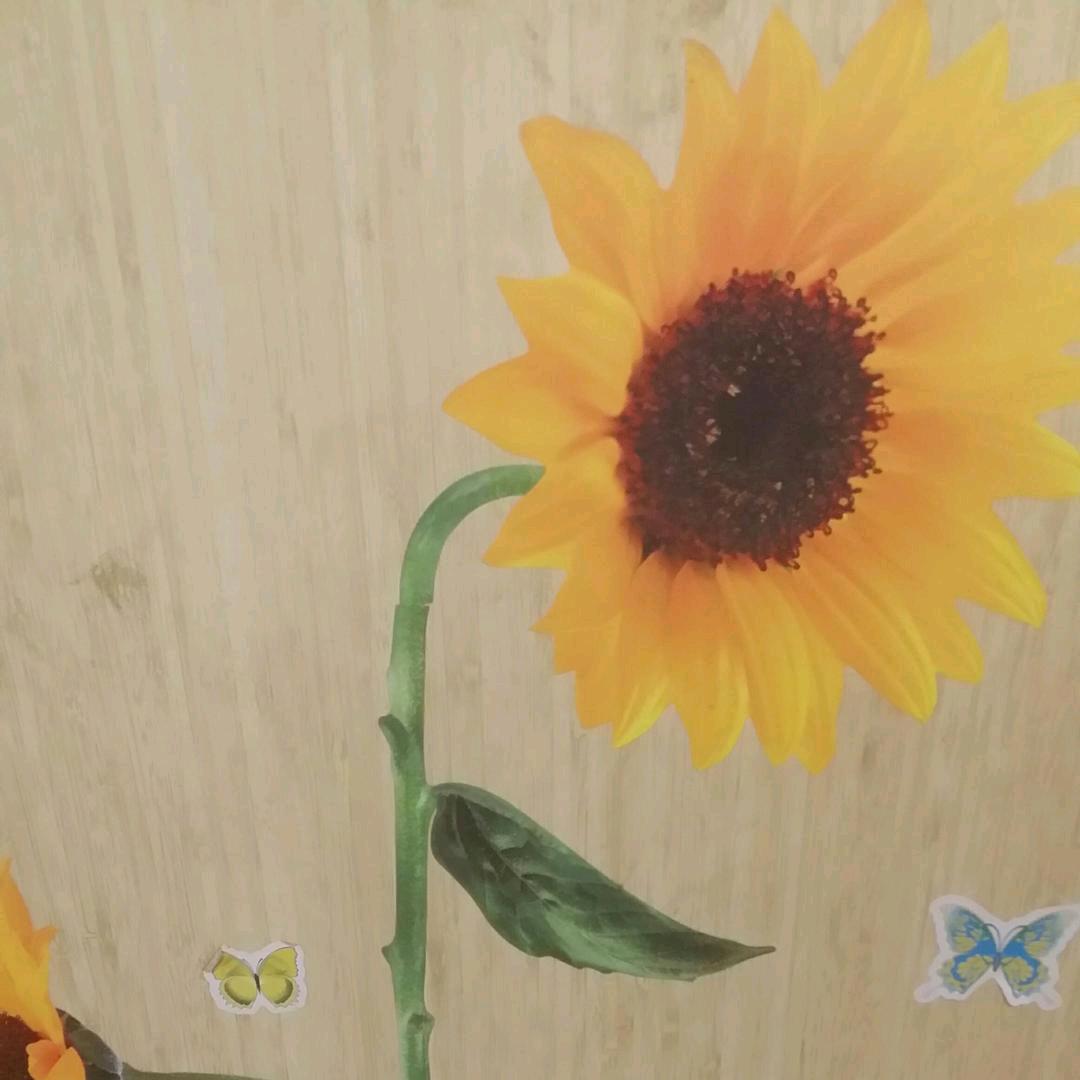 等我32号来娶你✨