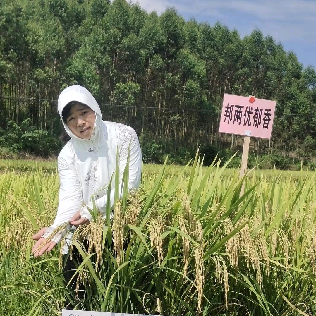 三妹农人