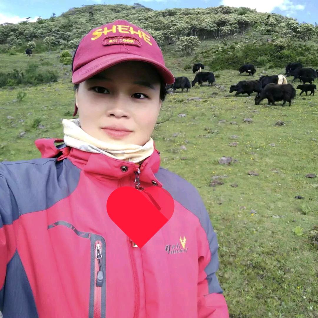 GENAI歌奈|杨泽丽