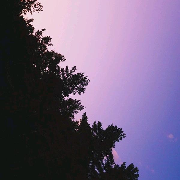 不停说梦话的寒蝉