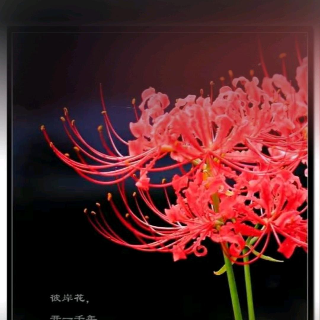 一往情深不及你