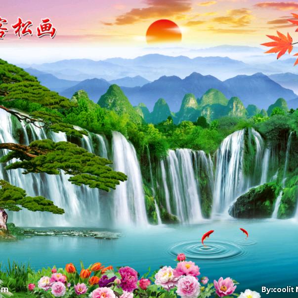 🌷卧虎🌷