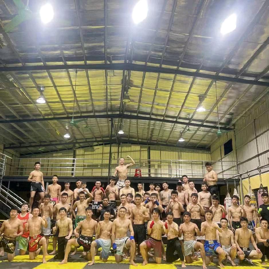 格斗星搏击散打