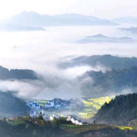 精彩箬坑