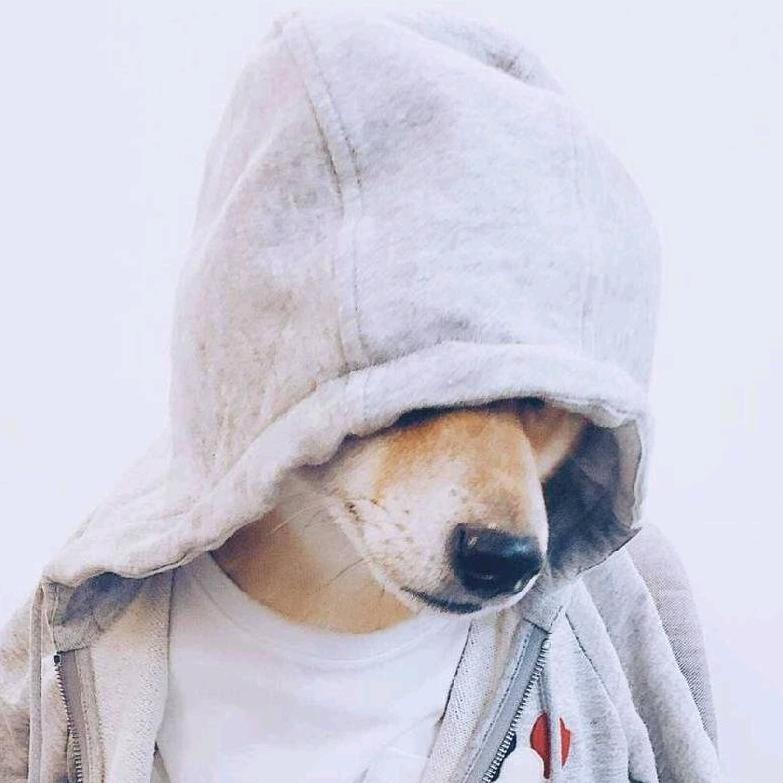 🌈🩴老虎不发威