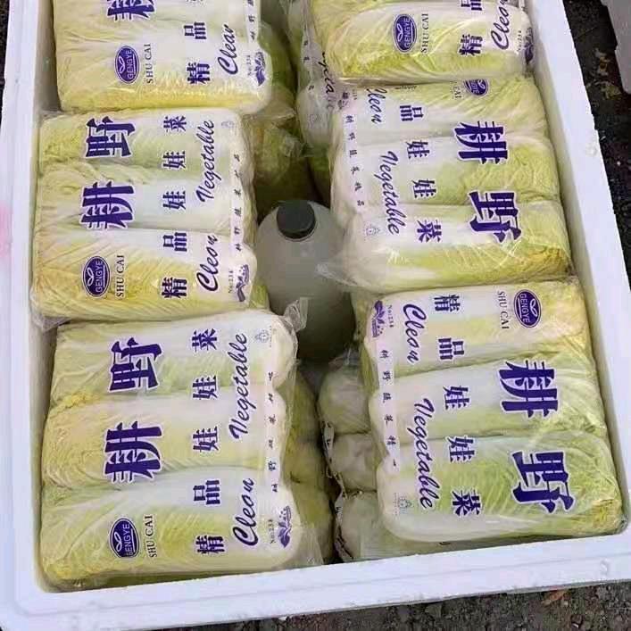 乐乐果蔬包装