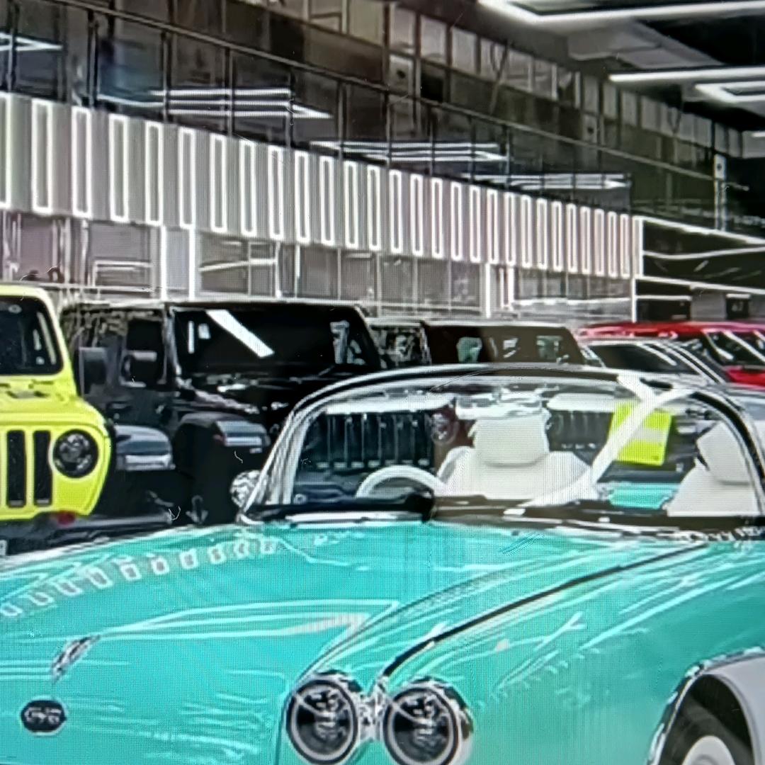 爱跳舞的小熊猫