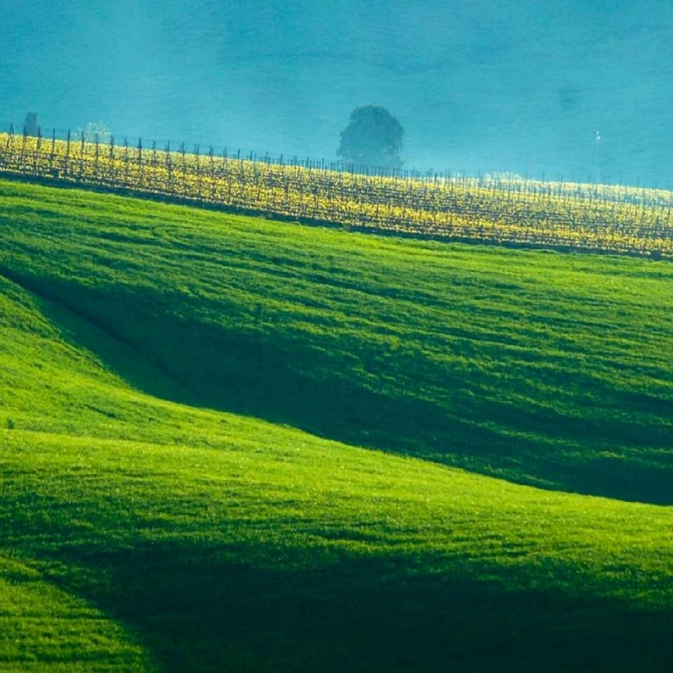 云南昭通大苹果龙会水果园