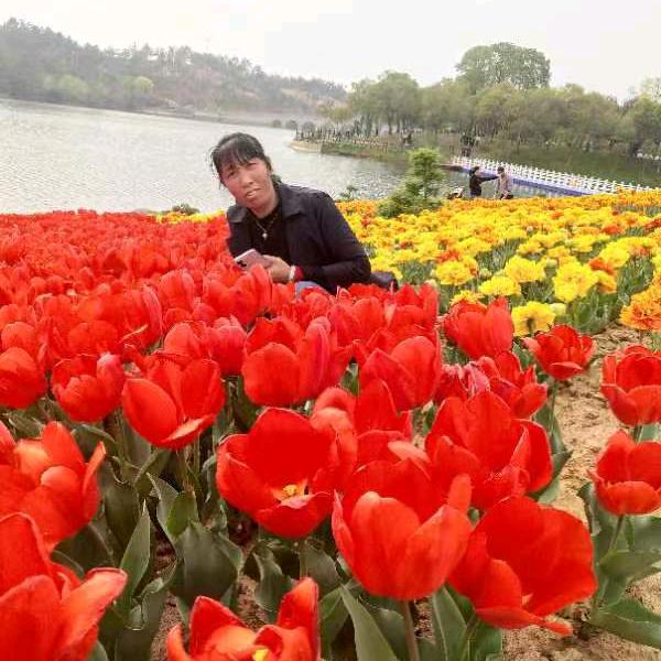 八月桂花香