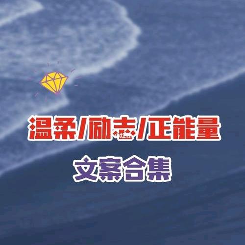 经历