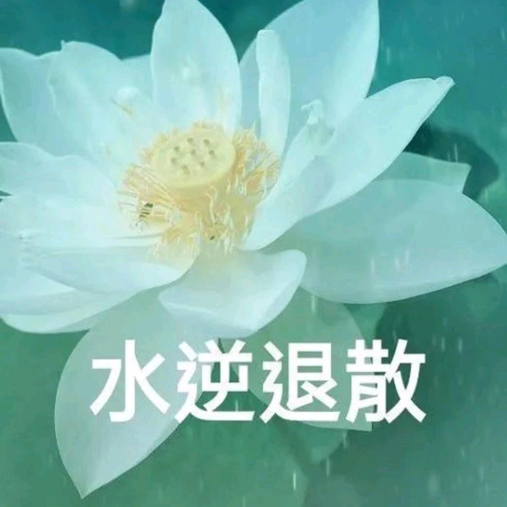 静悄悄1198跳跳奶奶