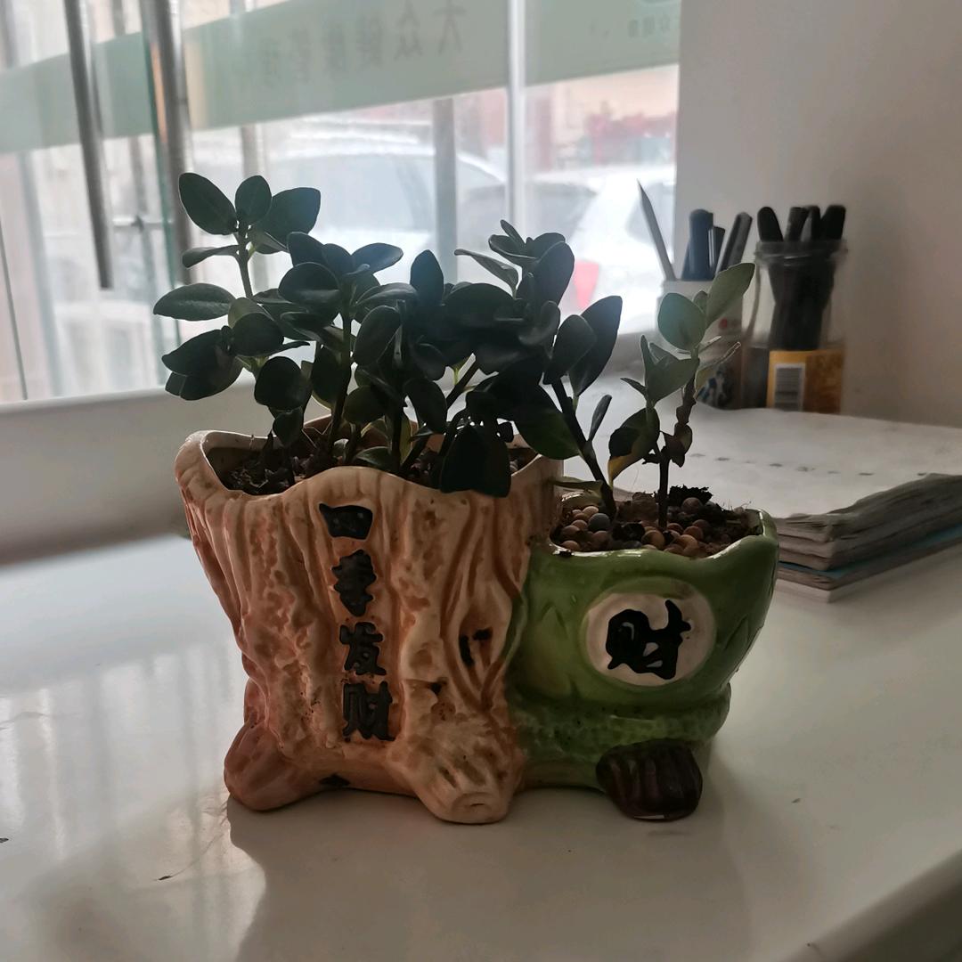 河津大众健康管理中心