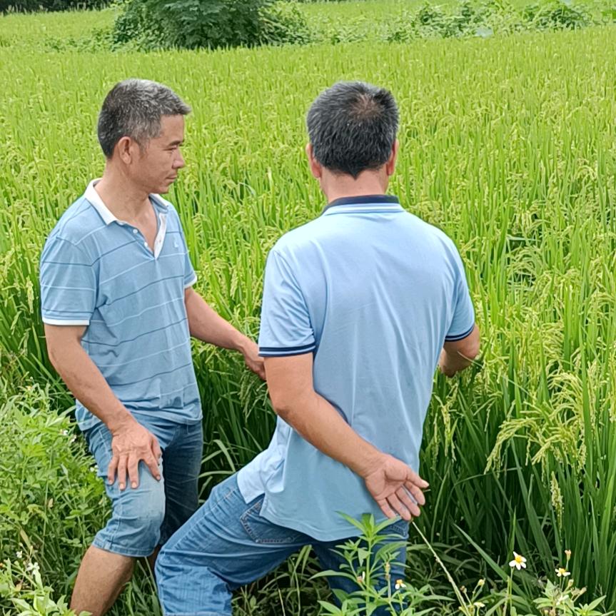 军枢家庭农场好货店