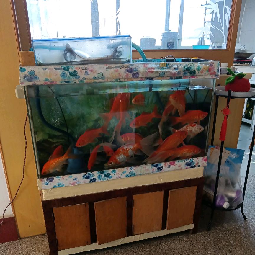 老钱