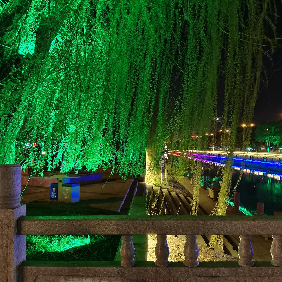爱与折磨