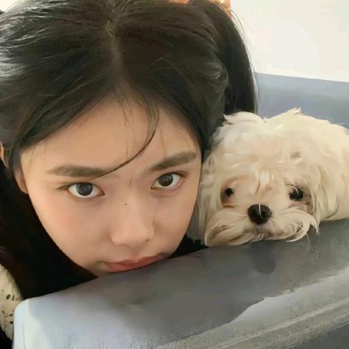 橙子哦（必发财版）