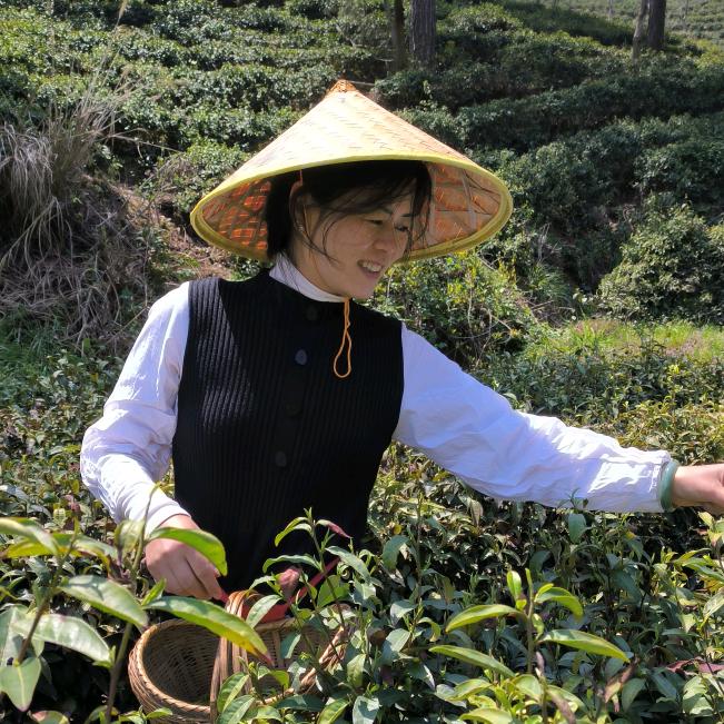 悠悠伊人心