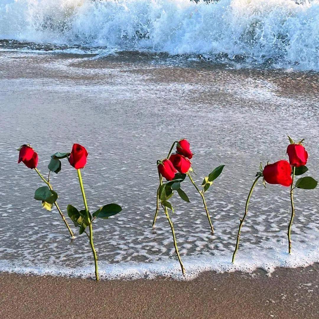 拥芳（视力养护十大健康）金鹿路76号门面