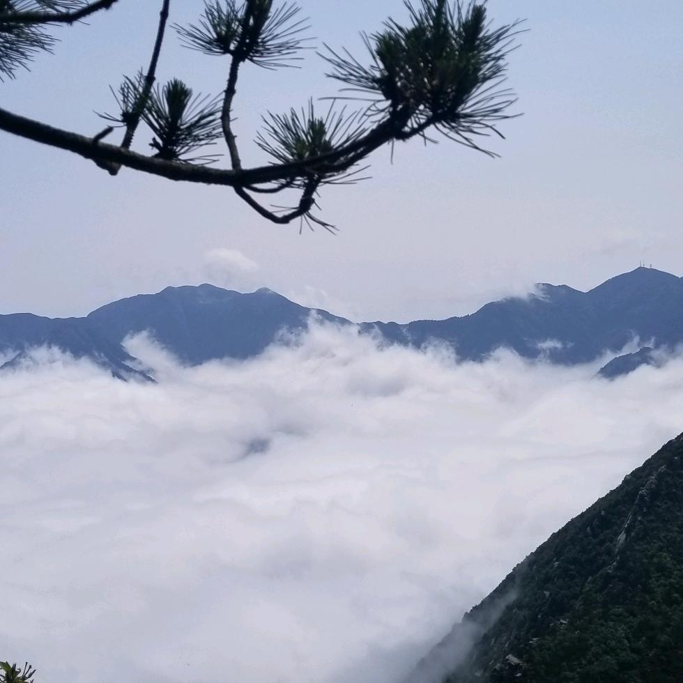 江山某人