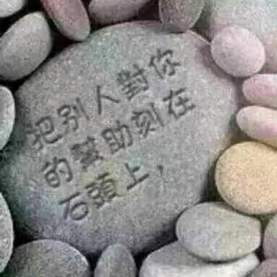 乌蒙鹰