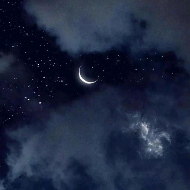 独来独往🐉