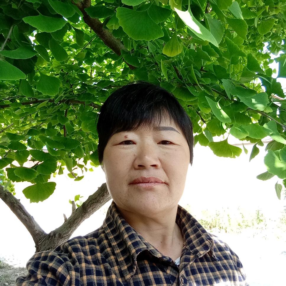 顺其自然