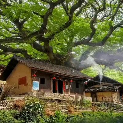 谭大伟（在农村）