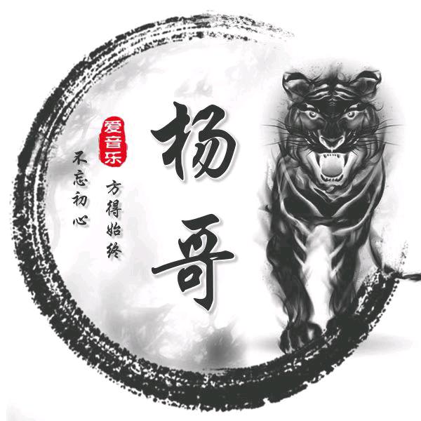 杨哥爱追音乐