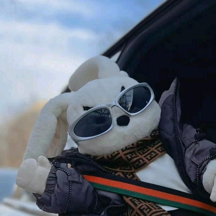 车管吴彦祖