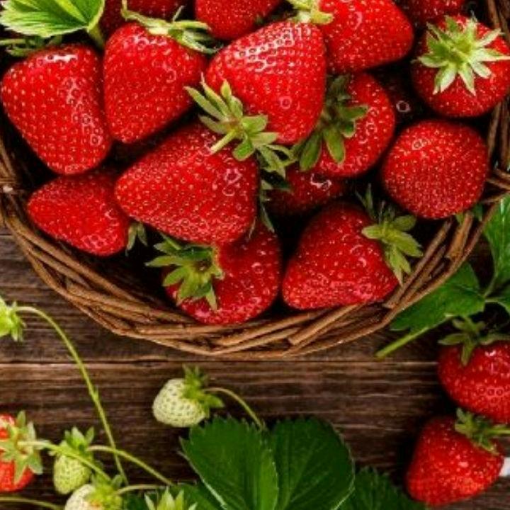 一家人开心果 💅，廖