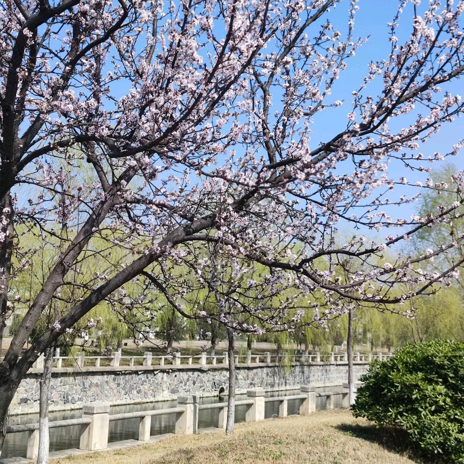 渔人码头