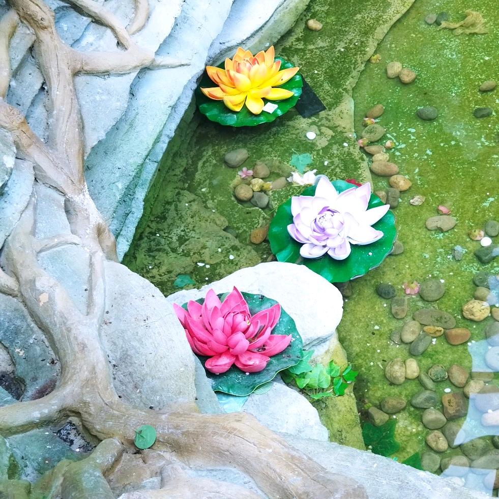 এᮁ໊⁵²⁰ꦿ一生有李ꦿ້໌ᮨ࿐