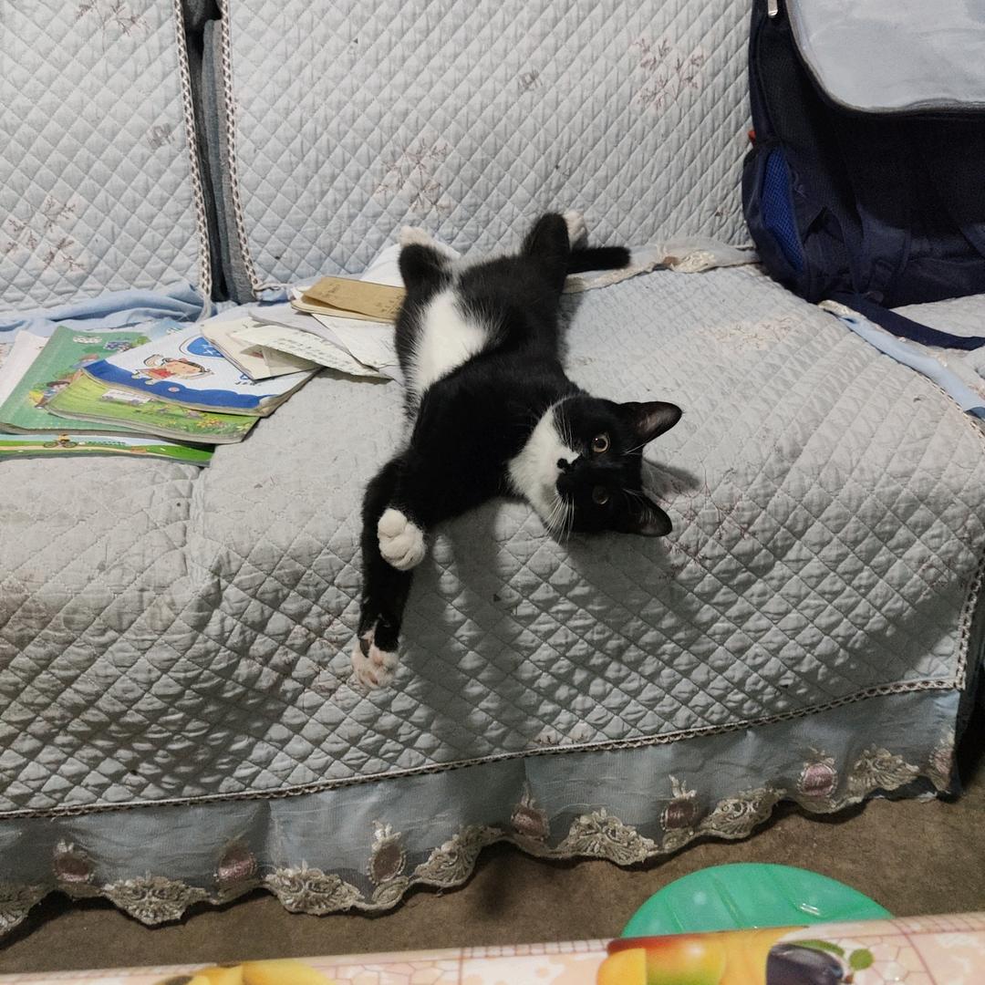曾经的少年不在少年