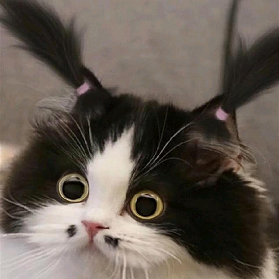 滴滴滴滴滴滴滴