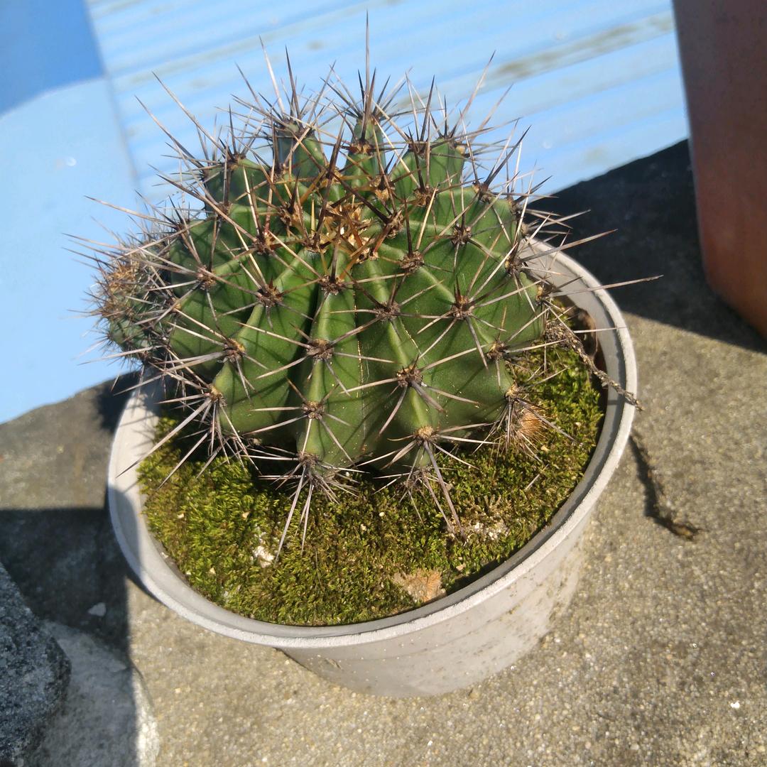 一生何求