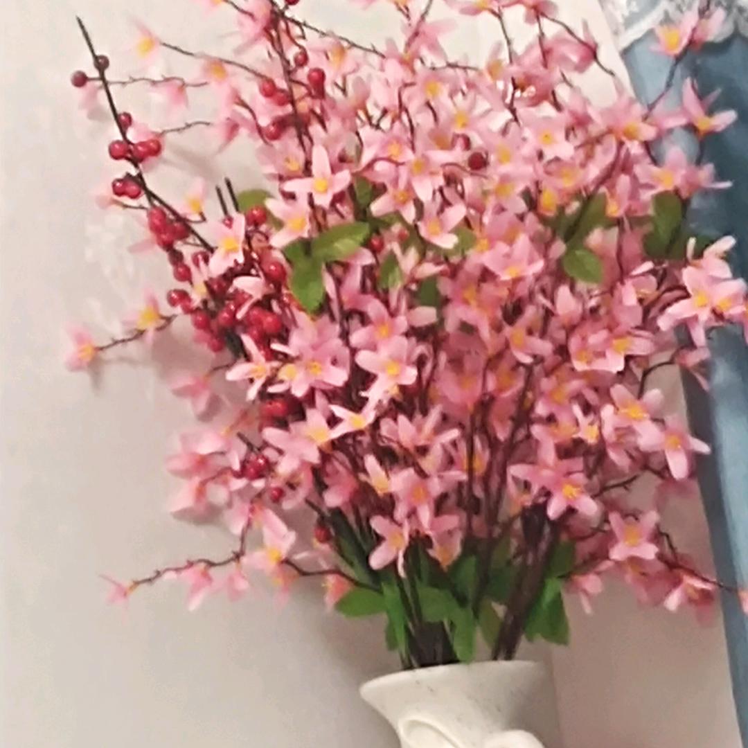 四季阳光