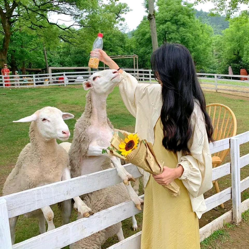 靓靓你最靓🌸🌸