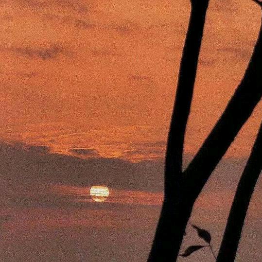 我在人间贩文字