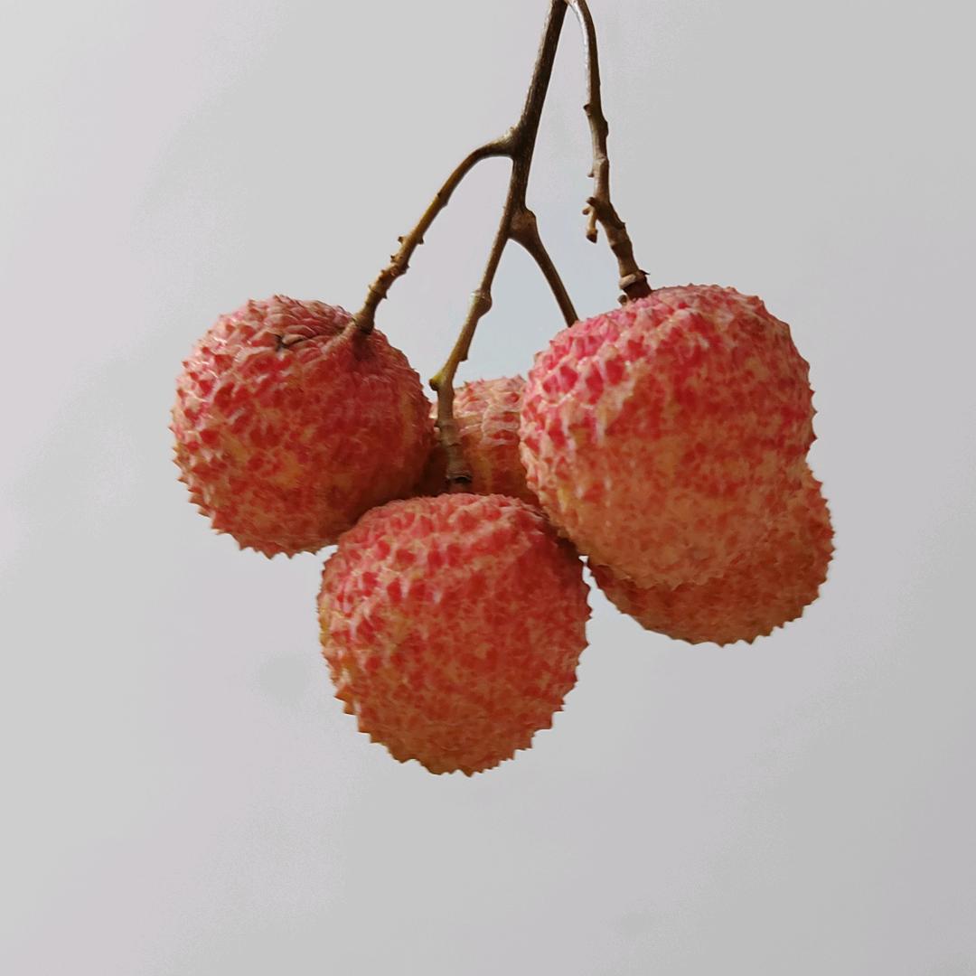 粤韵儿