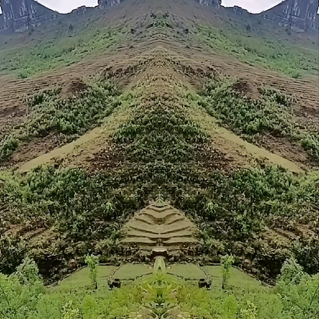 未来之星